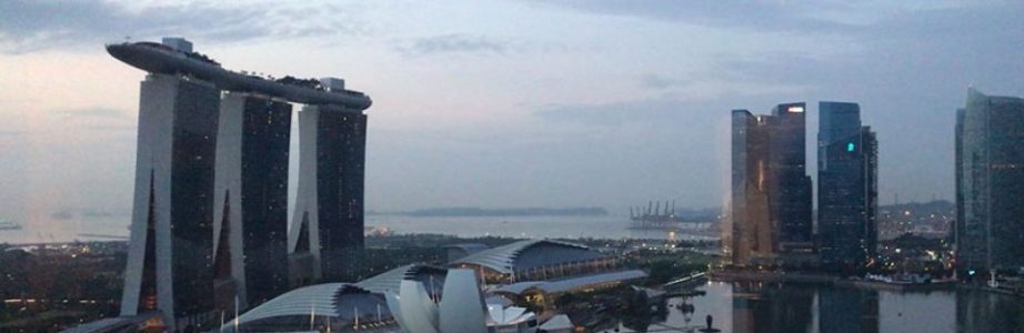 地域社会に貢献します。